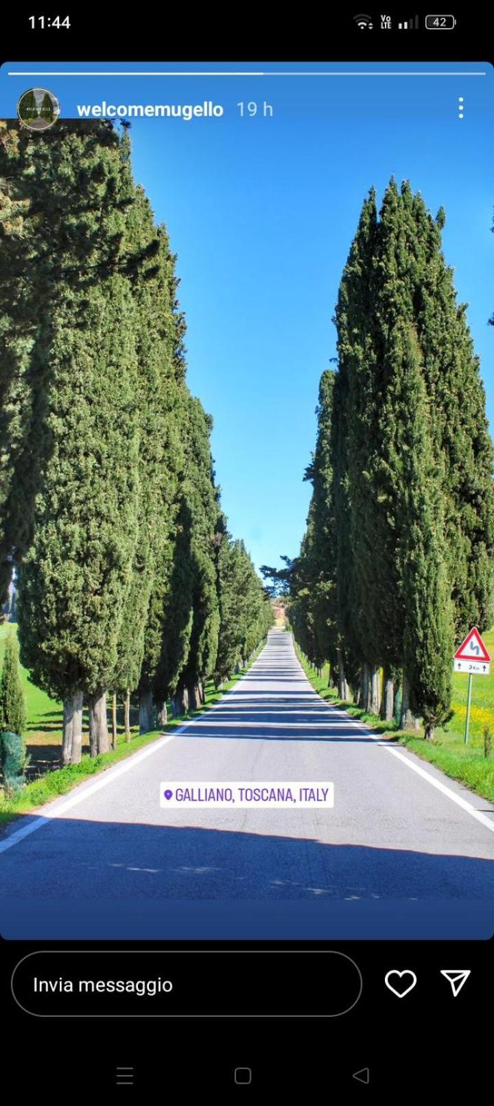 Il Marrondindo Bed & Breakfast Galliano Dış mekan fotoğraf
