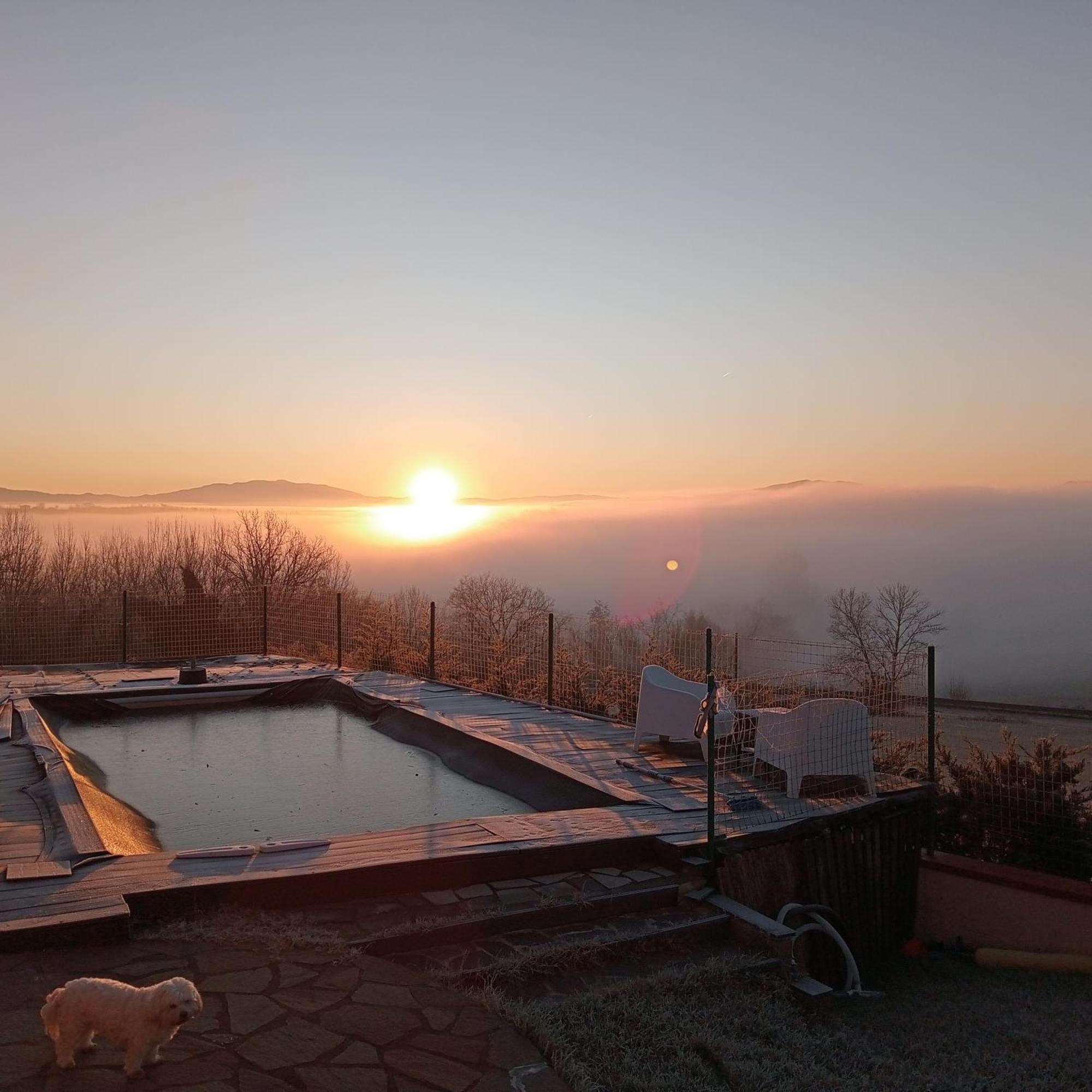 Il Marrondindo Bed & Breakfast Galliano Dış mekan fotoğraf