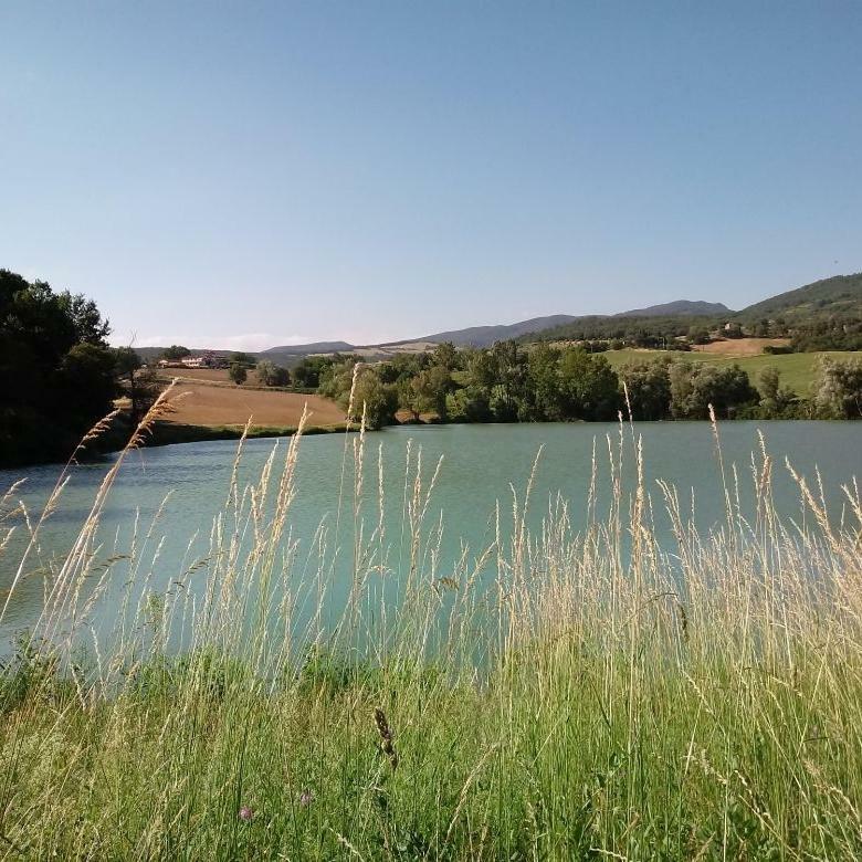 Il Marrondindo Bed & Breakfast Galliano Dış mekan fotoğraf
