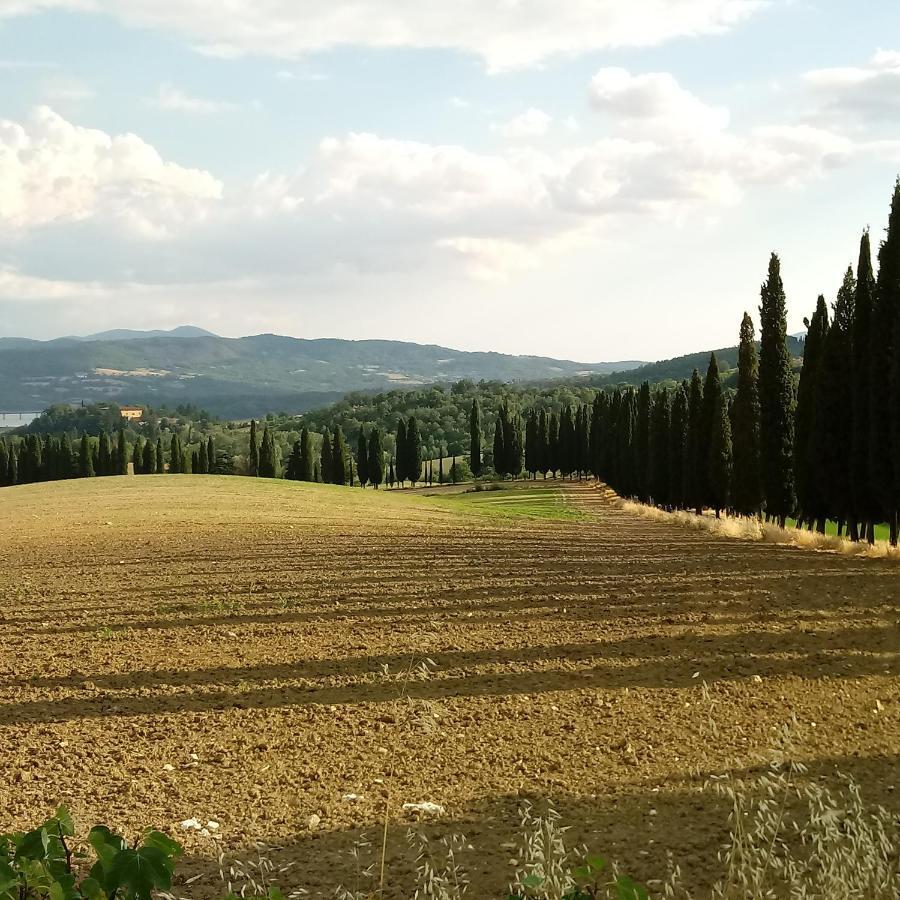 Il Marrondindo Bed & Breakfast Galliano Dış mekan fotoğraf